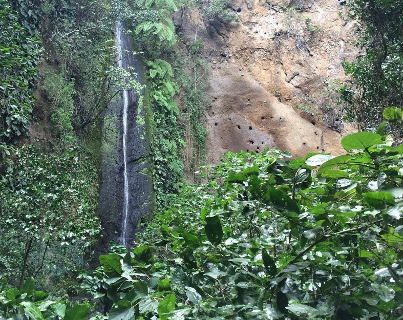 Chocoyero-El Brujo Natural Reserve, Managua Department, Nicaragua